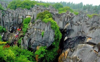Best Tours & Experiences in Kunming