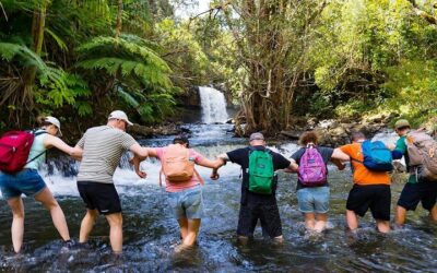 Small Group Waterfall and Rainforest Hiking Adventure on Maui (2026 Review & Booking Guide)
