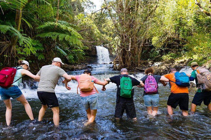 Small Group Waterfall and Rainforest Hiking Adventure on Maui in Maui