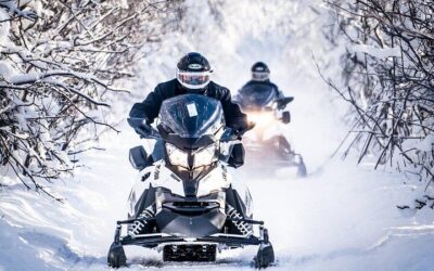 Best Time to Visit Fairbanks (2026): Month-by-Month Guide