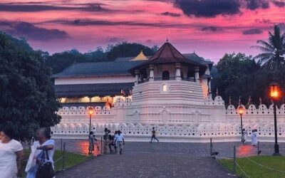 Best Tours & Experiences in Kandy