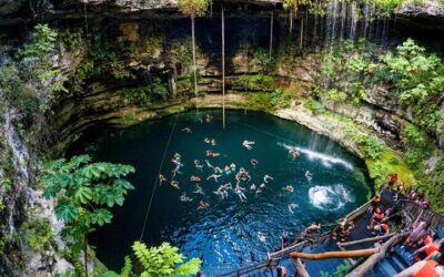 Half-Day Sea Turtle and Cenote Snorkeling Tour from Cancun & Riviera Maya (2026 Review & Booking Guide)