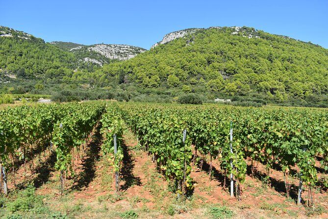 Best Tours & Experiences in Korcula Croatia 18 Wine Tour Korcula - Korcula Croatia