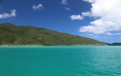 Best Tours & Experiences in Arraial do Cabo