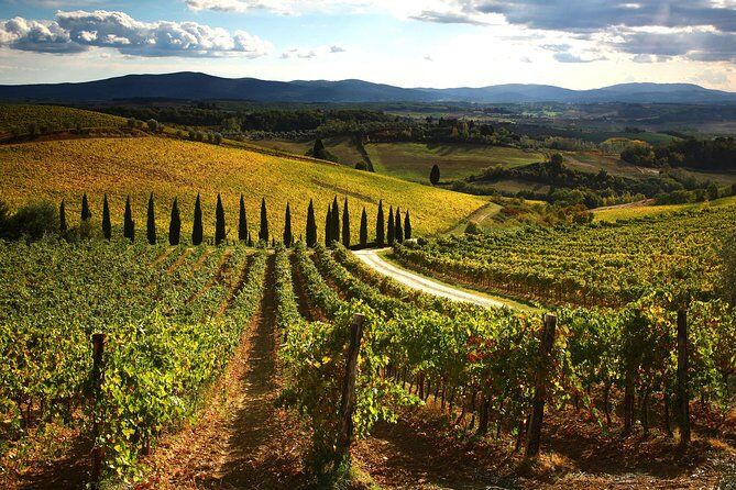 Best Tours & Experiences in Gaiole in Chianti Italy 41 9f