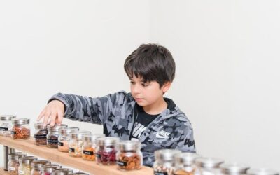 The Chocolatarium Chocolate Tour Experience in Edinburgh (2026 Review & Booking Guide)