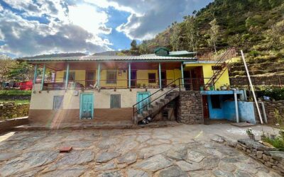Best Tours & Experiences in Shimla