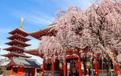 Tokyo City Pass: Tokyo Subway Ticket vs Grutto Pass vs Individual Tickets — What Is Actually Worth Buying? (2026)