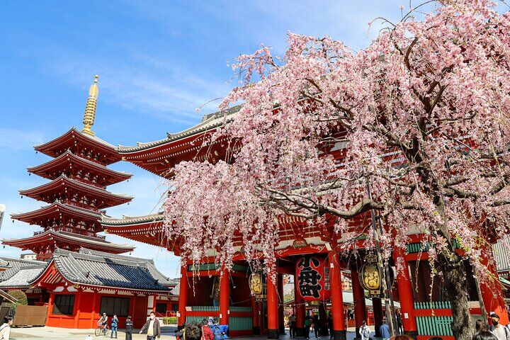 1-Day Tokyo Bus Tour (2026 Review & Booking Guide) 1 1-Day Tokyo Bus Tour in Tokyo