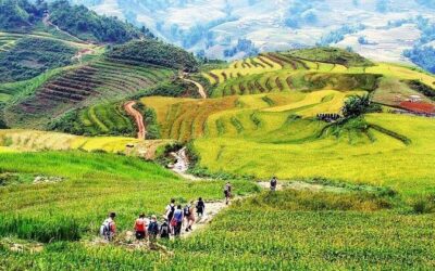 Best Tours & Experiences in Sapa