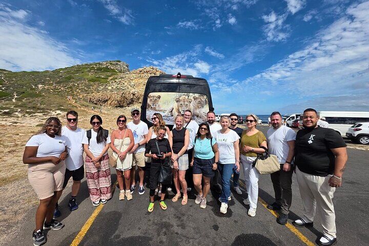 Private vs Small Group Tours in Cape Town: Which Should You Book? (2026) 17 5-Star Small-Group: Cape of Good Hope, Penguins & Bo-Kaap Tour