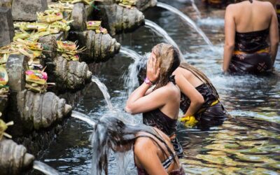 What to Eat in Ubud: Best Food Guide (2026)