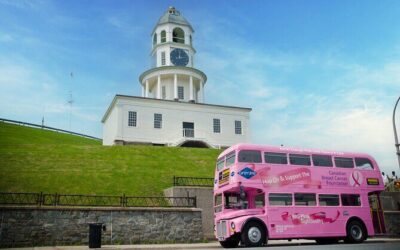 Best Tours & Experiences in Halifax