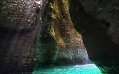 Best Tours & Experiences in Dominica