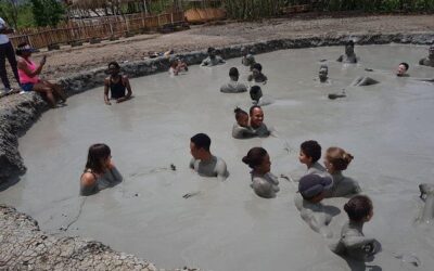 Best Tours & Experiences in Trinidad