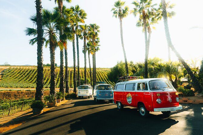 Die besten Touren und Erlebnisse in Temecula, Kalifornien 25 VW Bus Wine Tour of Temecula the Ultimate California Experience - Temecula California