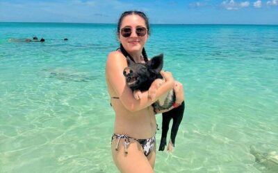 Nassau Swimming Pigs and Private Beach Club Escape (2026 Review & Booking Guide)