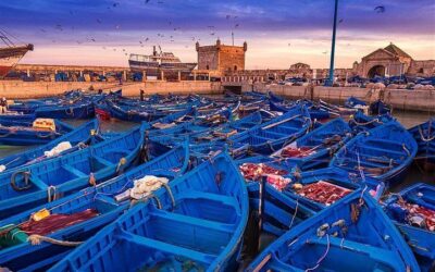 Best Day Trips from Marrakech (2026)