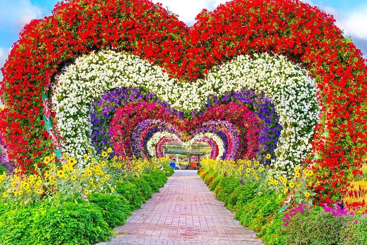 Dubai City Pass: Go City All-Inclusive vs Explorer vs Individual Tickets — Worth It? (2026) 15 Dubai Miracle Garden Skip the Line Ticket and Transfer Option