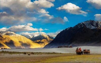 Best Tours & Experiences in Leh