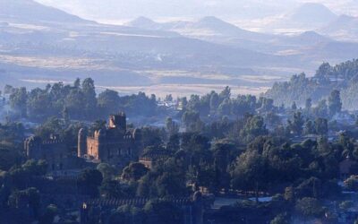 Best Tours & Experiences in Gondar