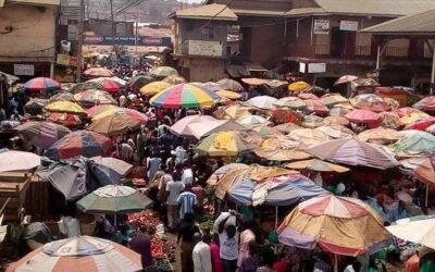 Best Tours & Experiences in Kampala