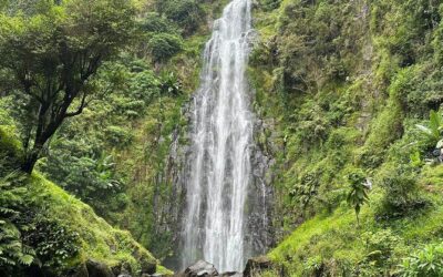 Best Tours & Experiences in Moshi