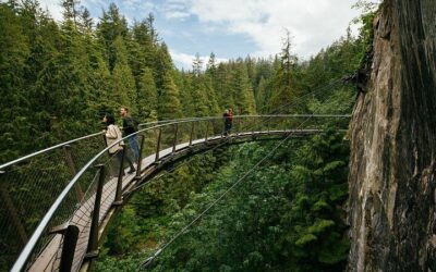 Capilano Suspension Bridge Tickets & How to Visit (2026 Guide)
