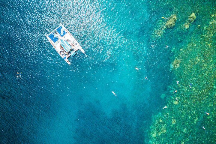 Best Day Trips from Maui (2026) 11 West Maui Half Day Snorkel from Ka’anapali Beach