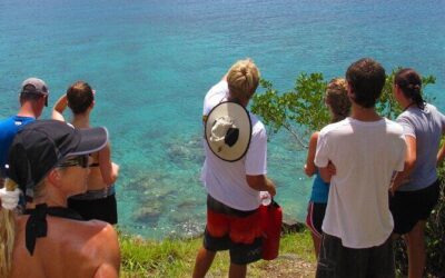 Best Tours & Experiences in St John, US Virgin Islands