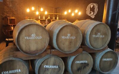 Port Wine Lodges Tour Including 7 Port Wine Tastings (English) (2026 Review & Booking Guide)
