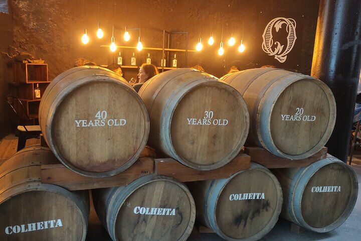 Port Wine Lodges Tour Including 7 Port Wine Tastings (English) in Porto