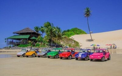 Best Day Trips from Natal (2026)