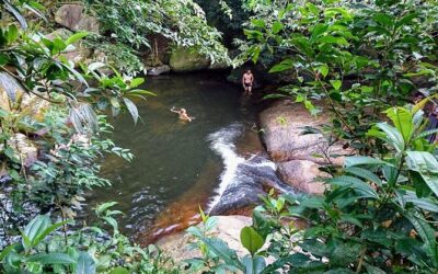 Best Tours & Experiences in Ilha Grande