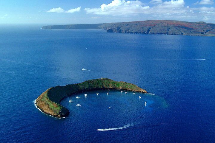 Maui Eco-Raft Tour: Eye-Level Whale or Dolphin Watching – Lahaina (2026 Review & Booking Guide) 1 Maui Eco-Raft Tour: Eye-Level Whale or Dolphin Watching – Lahaina in Maui