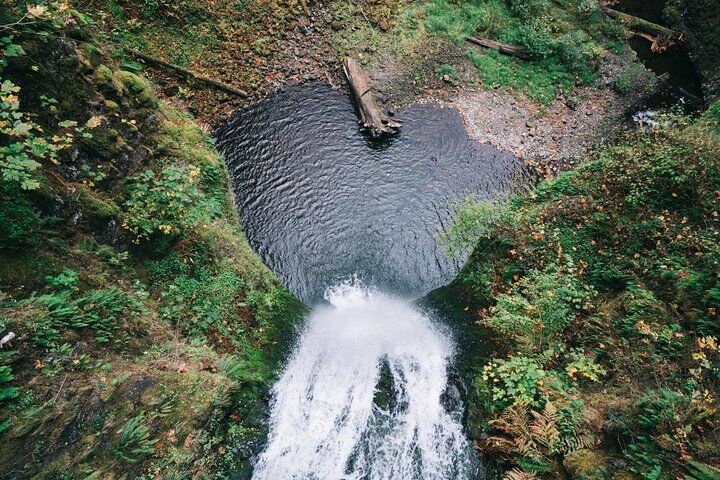 오리건주 콜롬비아강 협곡 최고의 투어 & 체험 21 Afternoon Half-Day Multnomah Falls and Columbia River Gorge Waterfalls Tour from Portland