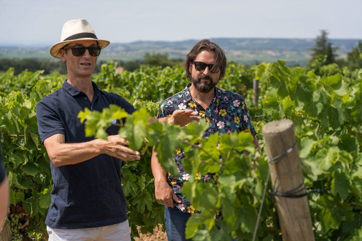 Meilleurs tours et expériences à Avignon France 22 Afternoon Wine Tour to Chateauneuf du Pape from Avignon