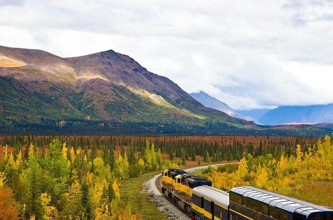 Alaska One Way Guided Railroad Transport from Denali to Anchorage - Anchorage Denali Alaska