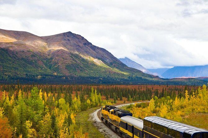 Alaska Railroad Anchorage to Denali One Way - Anchorage Denali Alaska