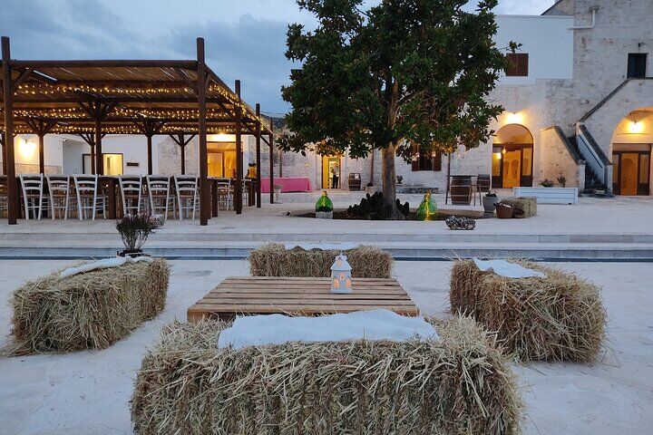 Meilleurs tours et expériences à Alberobello Italy 22 Alberobello Winery: Wine & Food Pairing Experience