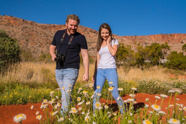 Best Tours & Experiences in Alice Springs 14 Alice Springs Desert Park General Entry Ticket