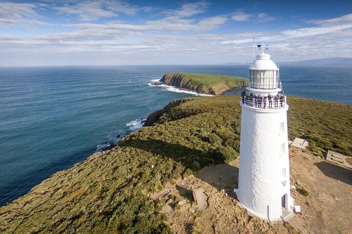 호바트 추천 투어 & 체험 10 All Inclusive Bruny Island Day Tour Plus Guided Lighthouse Tour