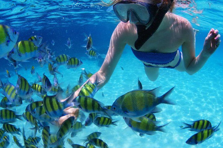 All-Inclusive San Blas Islands Day Tour from Panama City