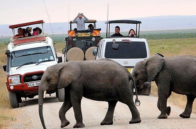 Best Tours & Experiences in Amboseli 18 Amboseli Overnight Tour
