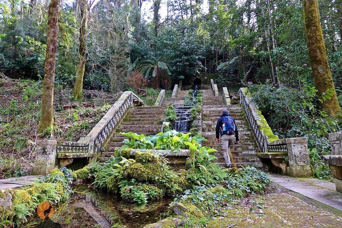 An Adventure Through the Bussaco National Forest Coimbra - Coimbra Portugal