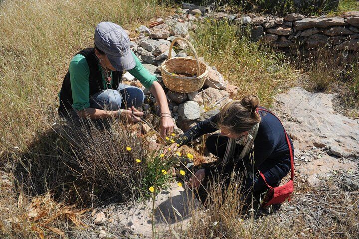 Authentic Greek Cooking & Foraging Experience in Syros with Maria