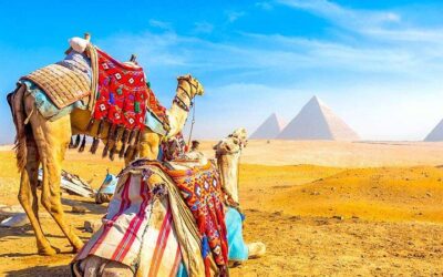 Pyramids of Giza Tickets Compared: Ticket vs Guided vs Inside the Great Pyramid (2026)