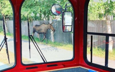 Anchorage Trolley’s 1-Hour City Tour (2026 Review & Booking Guide)