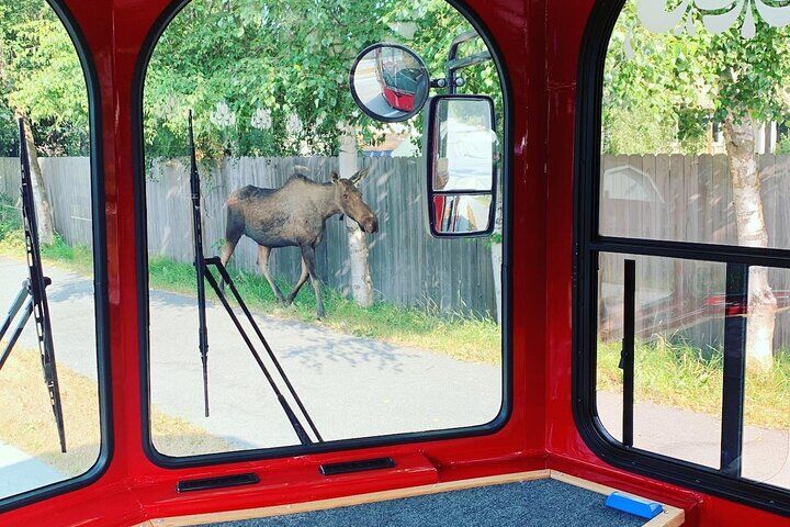 Anchorage Trolley's 1-Hour City Tour (2026 Review & Booking Guide) 1 Anchorage Trolley's 1-Hour City Tour in Anchorage