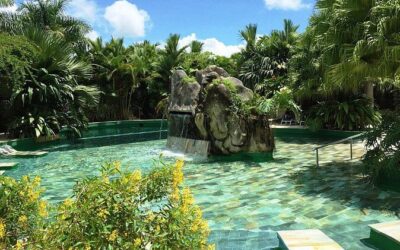 Best Tours & Experiences in San Jose